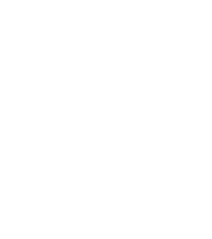 vector